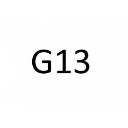 G13